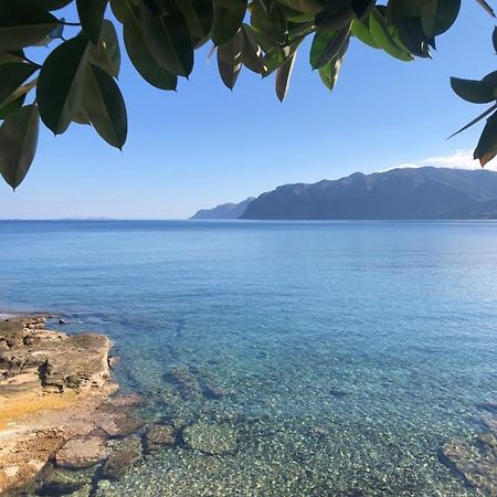 The Island House - Family Size Apt - Overlooking The Aegean - 3 Steps From The Beach Мохлос Екстер'єр фото