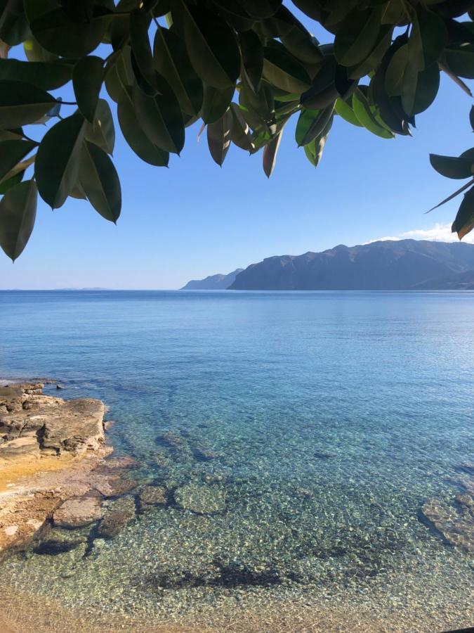 The Island House - Family Size Apt - Overlooking The Aegean - 3 Steps From The Beach Мохлос Екстер'єр фото